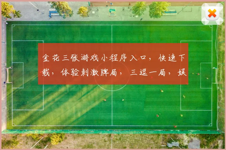 金花三张游戏小程序入口，快速下载，体验刺激牌局，三逗一局，娱乐无限