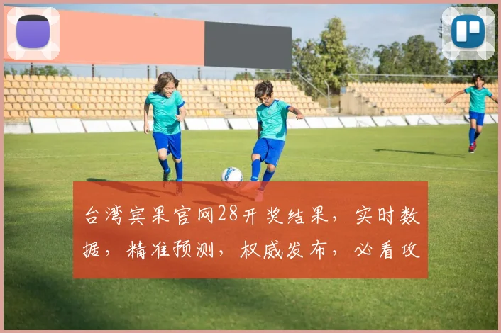 台湾宾果官网28开奖结果，实时数据，精准预测，权威发布，必看攻略