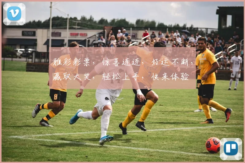 雅彩彩票，惊喜连连，好运不断，赢取大奖，轻松上手，快来体验