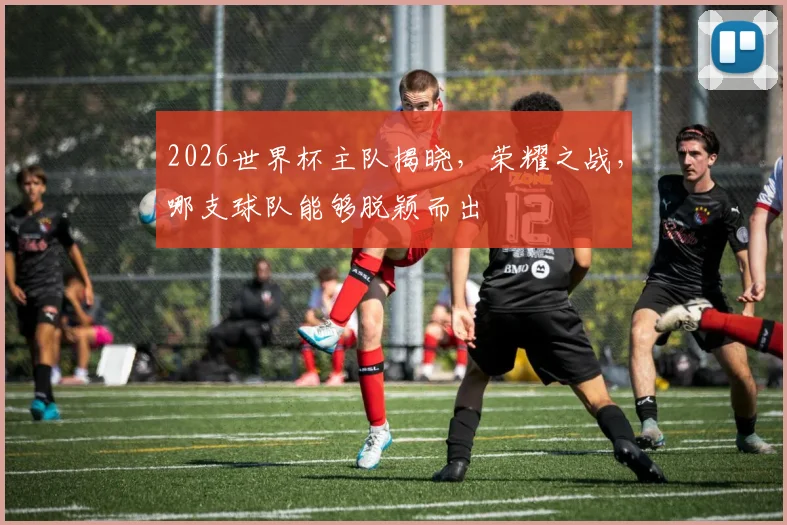 2026世界杯主队揭晓，荣耀之战，哪支球队能够脱颖而出